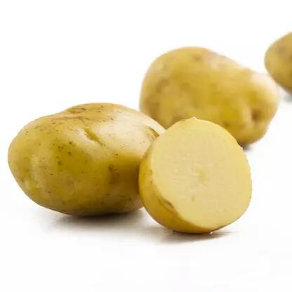 【新鲜】蔬菜 土豆约重1kg(黄心)老土豆 - 云销网综合批发