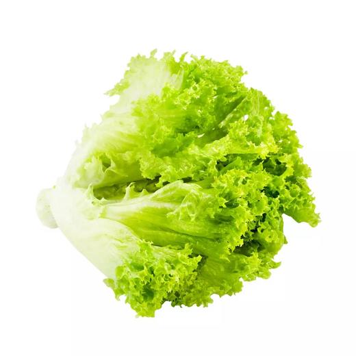 【新鲜】蔬菜　大叶生菜1颗 约 300g/份称重多退少补 商品图0
