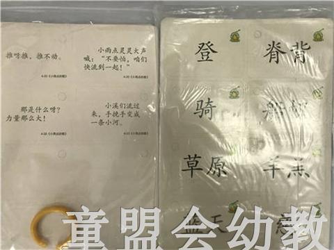 洪恩幼儿阅读 中国文史出版社 商品图1