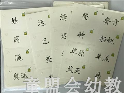 洪恩幼儿阅读 中国文史出版社 商品图3