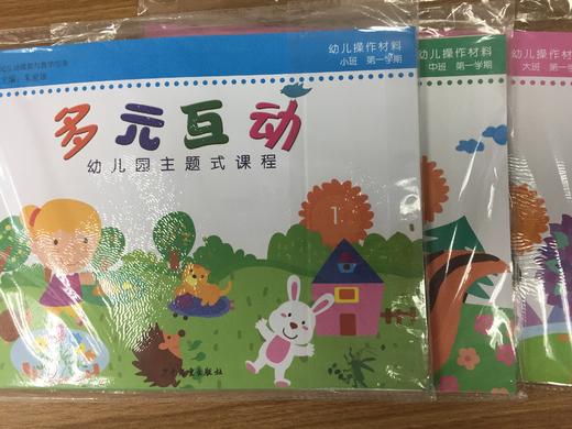 多元互动 幼儿主题式课程课程 幼儿操作材料包 商品图0