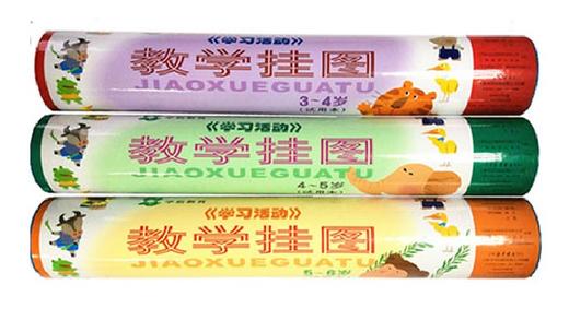 上海二期课改 学习活动 教学挂图 幼儿园必备 商品图0