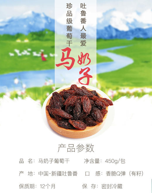 马奶子葡萄干 商品图0
