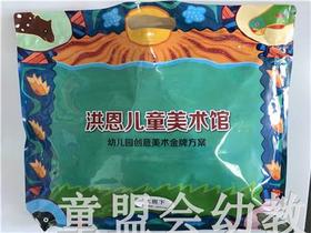 洪恩儿童美术馆—幼儿园创意美术金牌方案