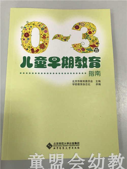 0—3岁儿童早期教育指南 商品图0