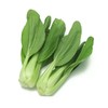 【新鲜】蔬菜油菜 约 500g/份 商品缩略图0
