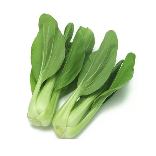 【新鲜】蔬菜油菜 约 500g/份 商品图0