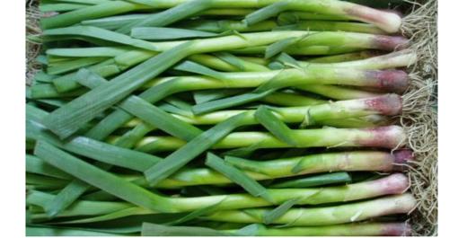 【新鲜】蔬菜 青蒜苗250克/份 商品图0