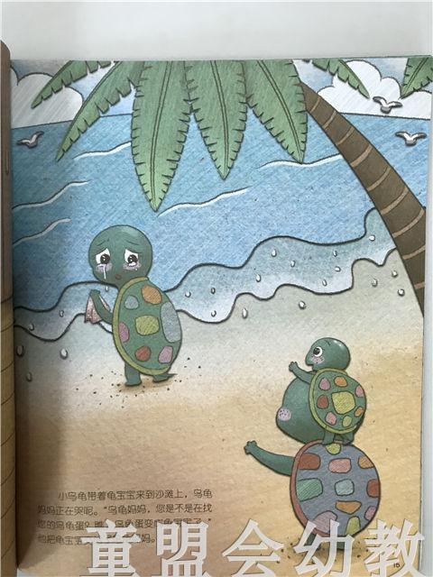 小脚丫丛书·谁丢失的蛋 江凤凰苏教育出版社 商品图4