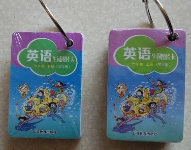 英语生词图片卡 六年级下册 学生用 全国版 三年级起步 商品图0