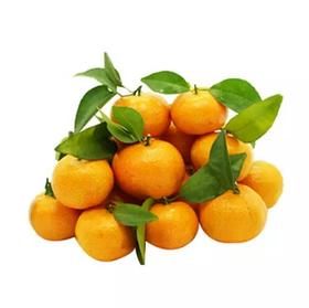 【新鲜】水果桔子 1.99元一斤小叶桔 约1000g/份，九分甜一分酸