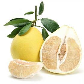 【新鲜】水果 新鲜柚子 约1.5kg/个（10元/2个）干水有售后