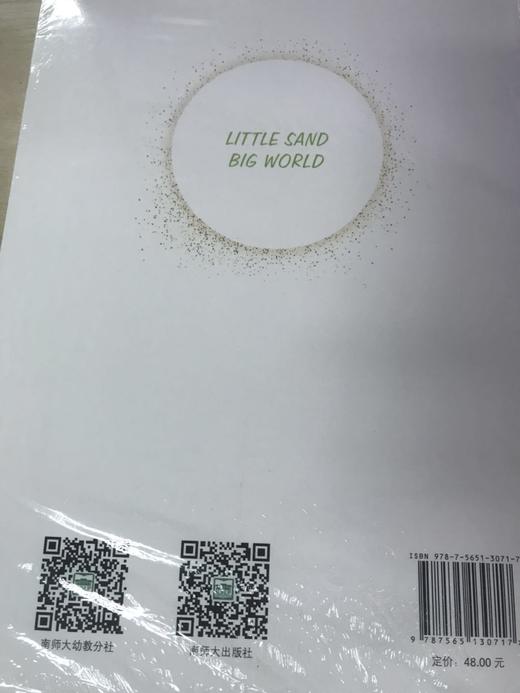 小沙子大世界 幼儿园玩沙活动设计与实施  南京师范大学出版社 商品图1