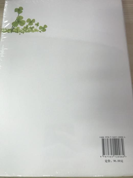 三叶草的故事——一个园长的教育管理旅程 南京师范大学出版社 商品图1