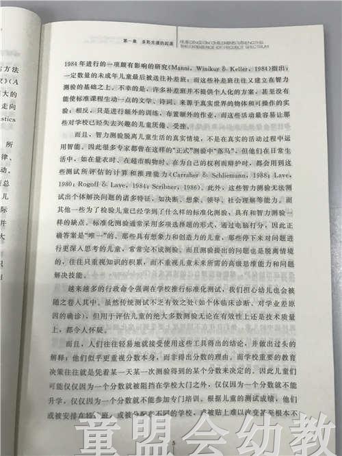 多元智能的理论与实践  陈杰琦 北京师范大学出版社 商品图3