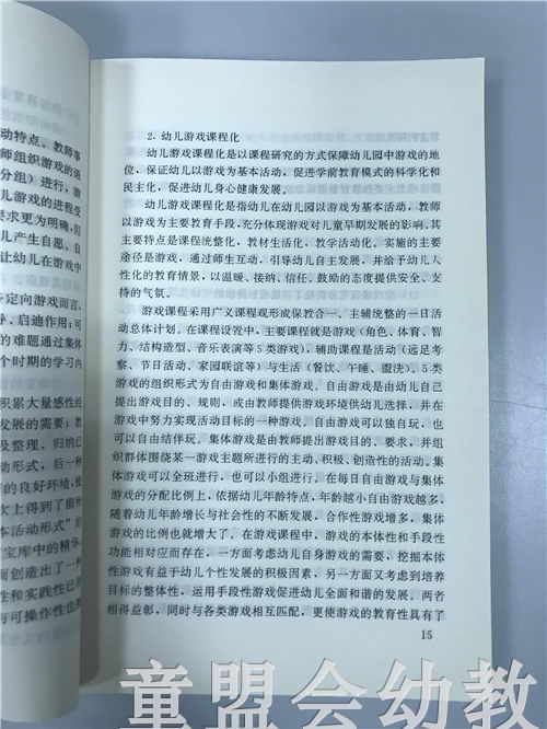 幼儿园游戏与玩具 许政涛 北京师范大学出版社 商品图2