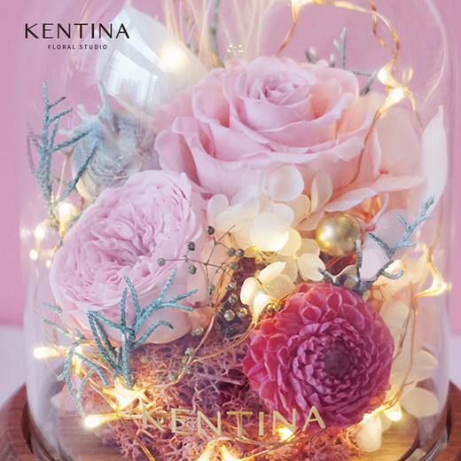 Kentina粉红胡桃木玻璃罩蓝牙音箱 商品图3