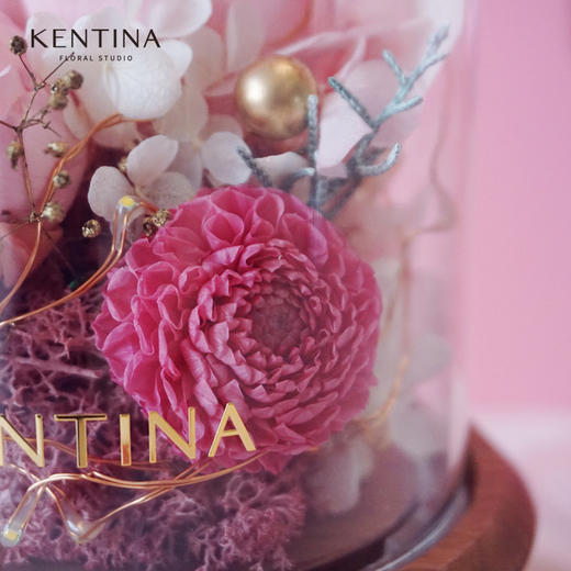 Kentina粉红胡桃木玻璃罩蓝牙音箱 商品图2