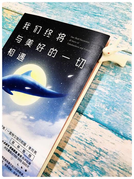 《我们终将与美好的一切相遇》 商品图3