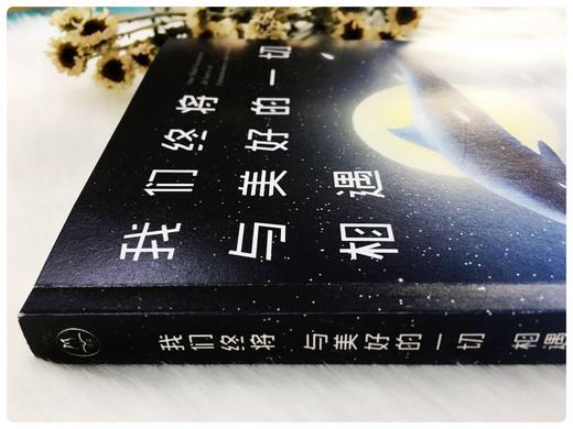 《我们终将与美好的一切相遇》 商品图5