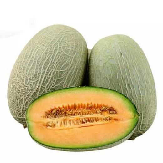 【新鲜】水果 哈密瓜瓜约1.8kg/个（7.5元/斤多退少补） 商品图0