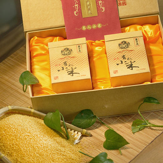 东方亮山西特产广灵小米 有机认证1280g礼盒装 640g*2 食用小米粥杂粮 包邮 商品图1