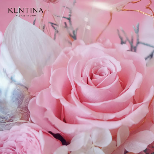 Kentina粉红胡桃木玻璃罩蓝牙音箱 商品图1