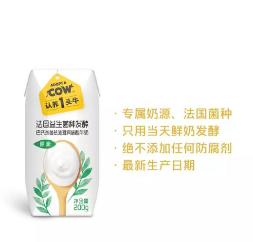 【爆款推荐】认养一头牛2提酸奶+2提纯奶套餐 商品图1