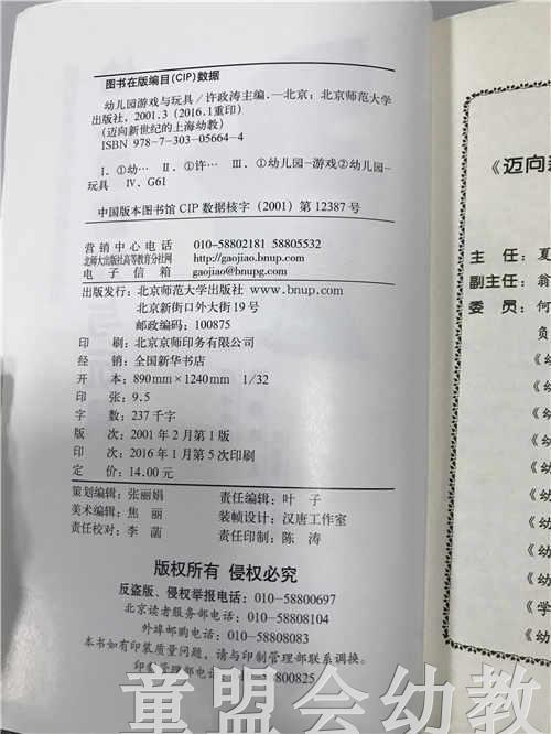 幼儿园游戏与玩具 许政涛 北京师范大学出版社 商品图4