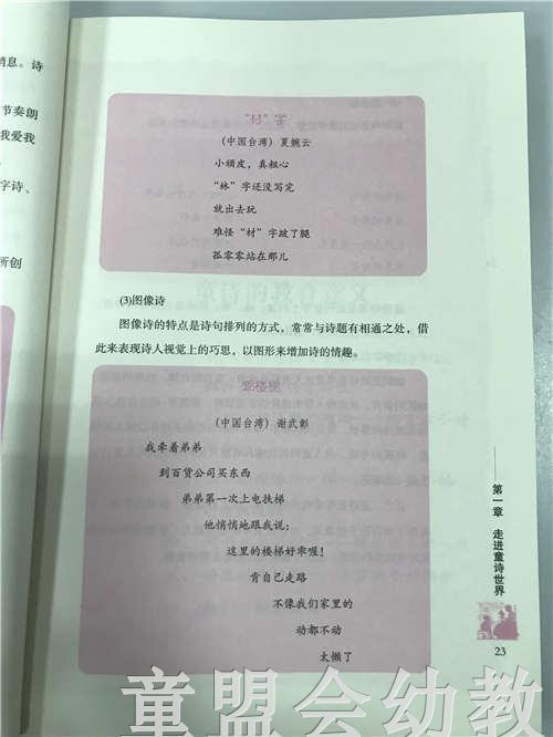 儿童天生就是诗人—儿童诗的欣赏与教学 丁云 北京师范大学出版社 商品图4
