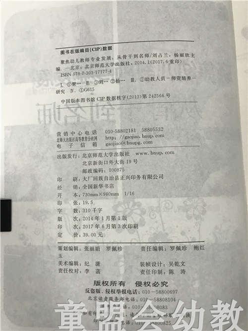 聚焦幼儿教师专业发展从骨干到名师 刘占兰 北京师范大学出版社 商品图2