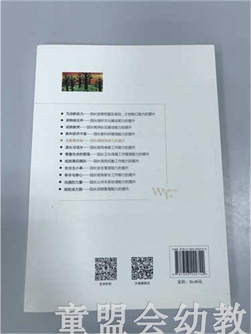 为教育涂色园长课程领导力的提升 苏婧 北京师范大学出版社 商品图1