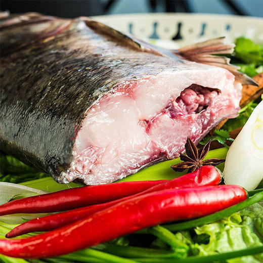 查干湖野生胖头鱼 | 渔场冷链直发,现捞现送的鲜美,全国限量5000条