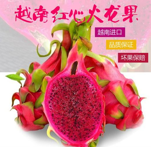 （永久下架）【开心2018】越南红心火龙果5斤装 商品图0