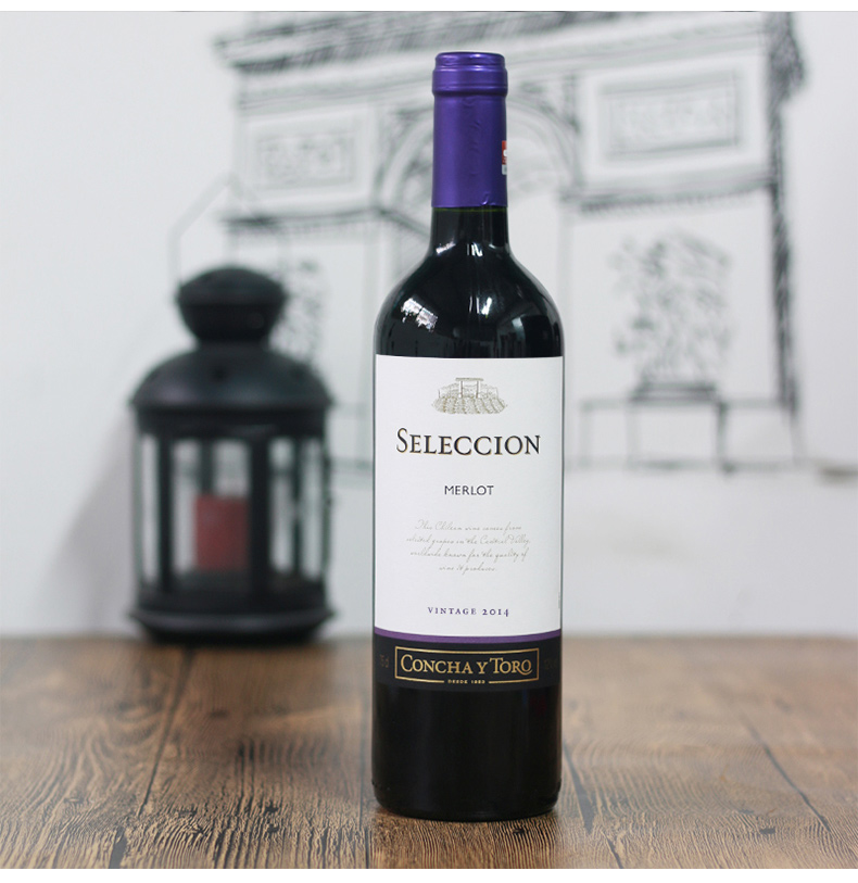 整箱6瓶智利原瓶进口干露智选梅洛干红葡萄酒750ml