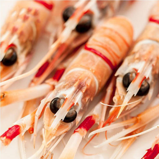 进口爱尔兰海鳌虾1000g 16-20只