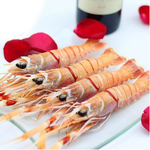 进口爱尔兰海鳌虾1000g 16-20只