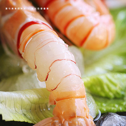 进口爱尔兰海鳌虾1000g 16-20只