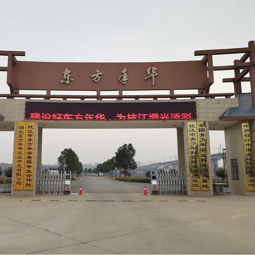 湖北宜昌枝江东方年华景区门票 商品图1