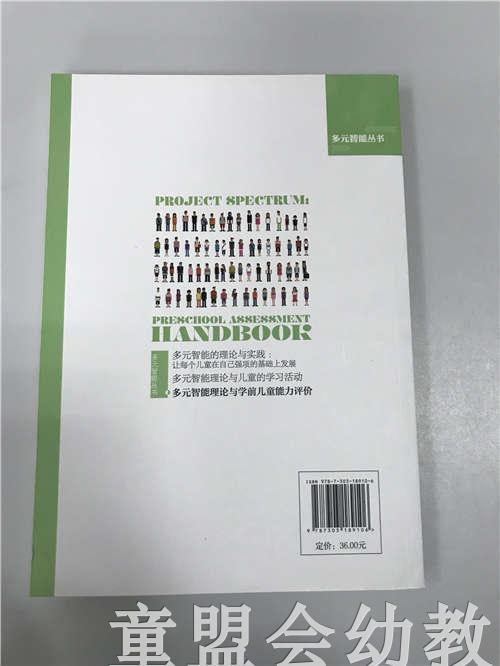多元智能理论与学前儿童能力评价 玛拉克瑞克维斯基 北师大出版社 商品图1