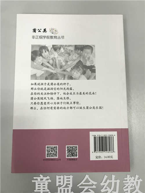 非正规学前教育丛书 简明幼儿园管理 张燕刘莉北京师范大学出版社 商品图1