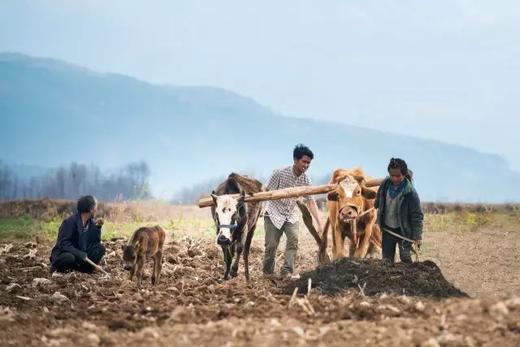 【大凉山】走进彝族新年、绿皮扶贫火车人文民俗6天摄影团 商品图1