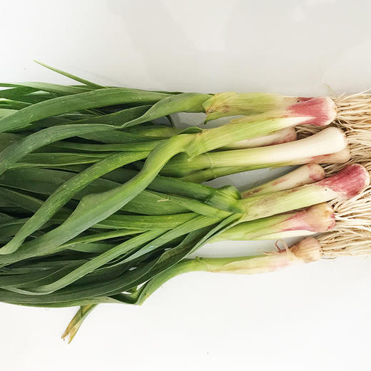 大蒜叶 商品图0