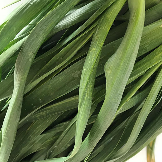 大蒜叶 商品图2