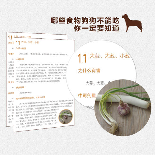狗狗的健康吃出来 中国轻工业出版社图书 商品图2