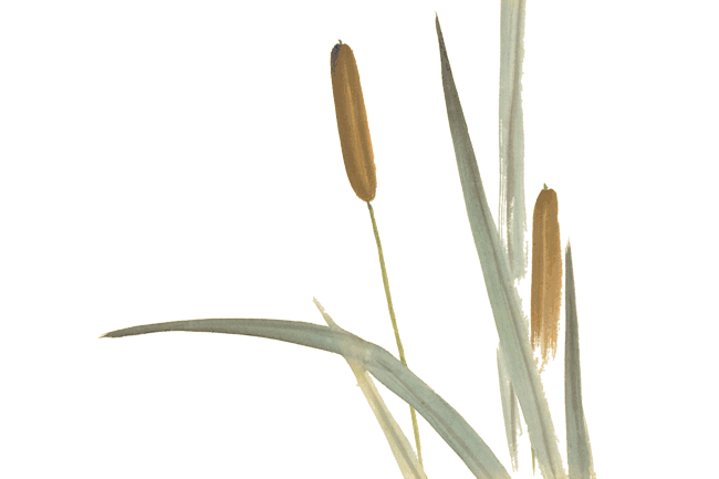 650_433gif 动态图 动图