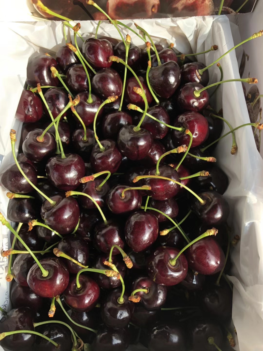 稀有品种澳洲红钻空运樱桃特点软甜4斤装南宁市内包邮现开始接收预订