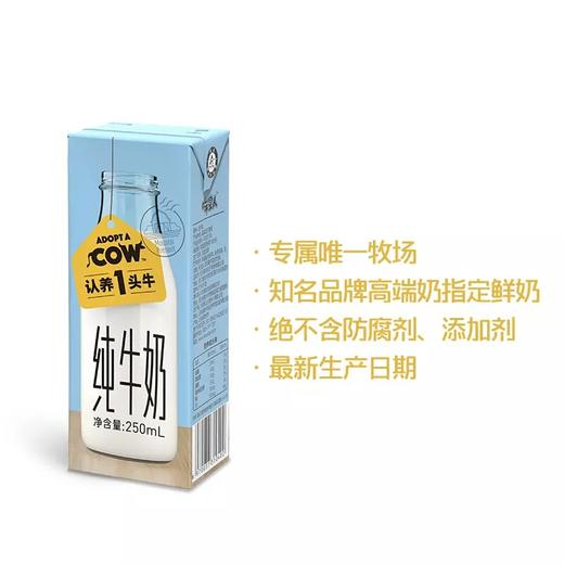 【爆款推荐】认养一头牛2提酸奶+2提纯奶套餐 商品图3