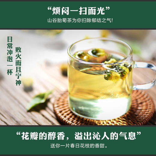 【宣萱同款】【胎菊花茶】60g 桐乡胎菊王养生茶 商品图3