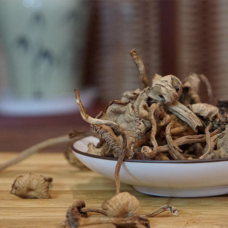 云南干货皮条菌